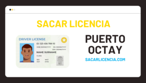 Licencia de conducir Puerto Octay