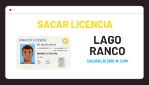 Licencia de conducir Lago Ranco